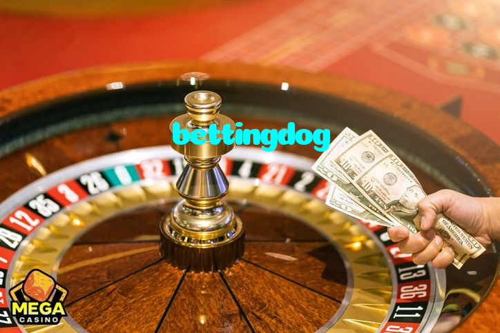 available types of bettingdog bet including pre-match live express and system bets